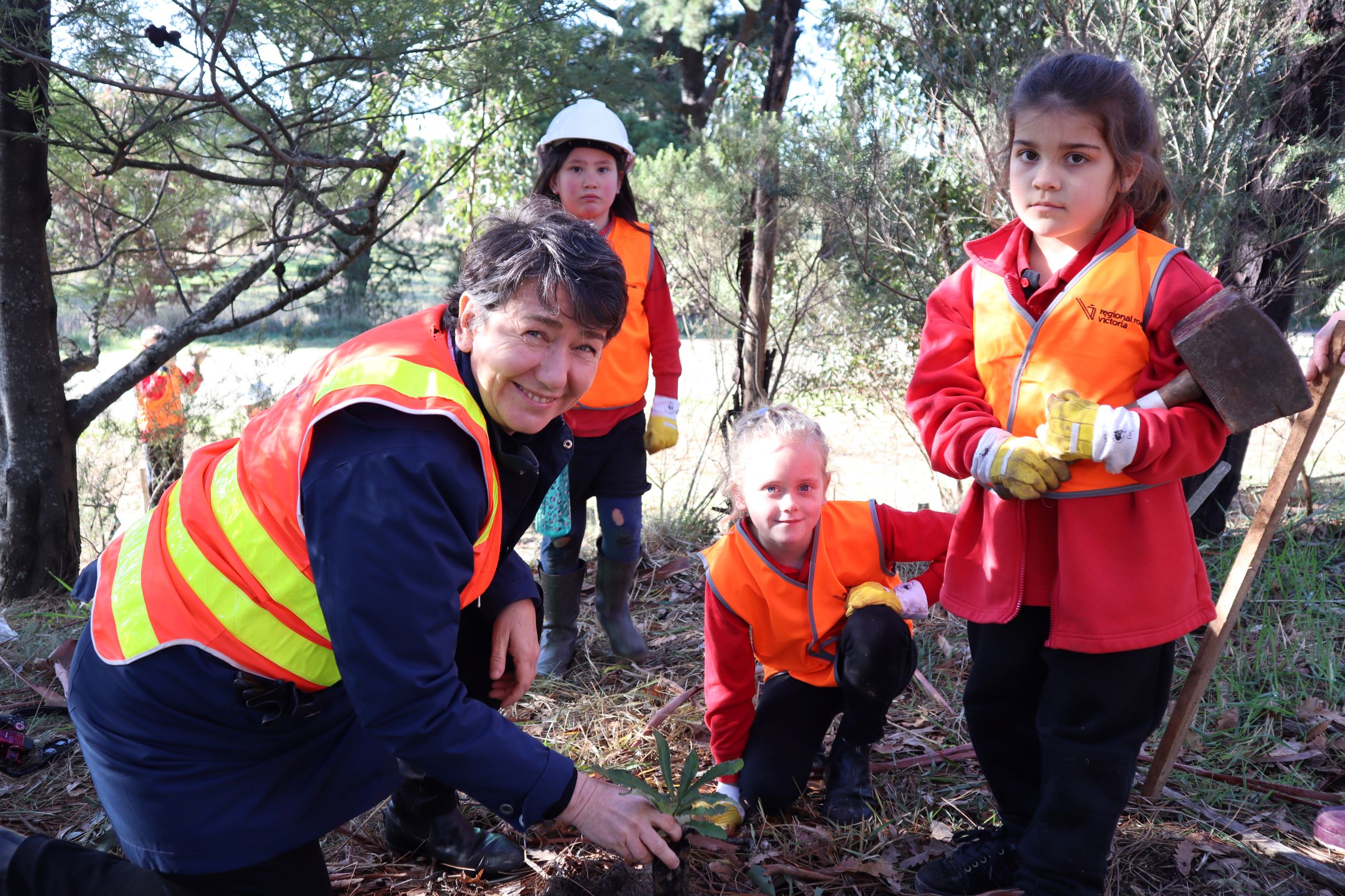 Scotsburn students help revegetate Midland Highway  Main Image